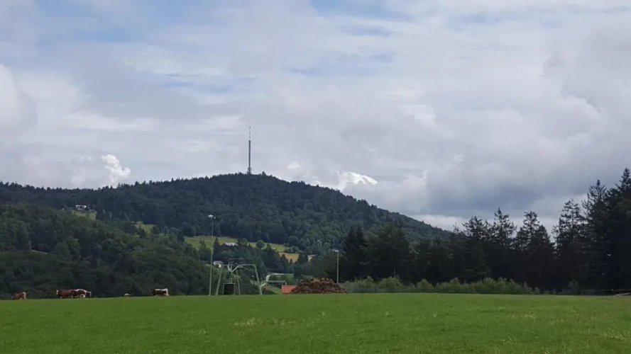 Ferienbungalow Sonnenwald Bayerischer Wald