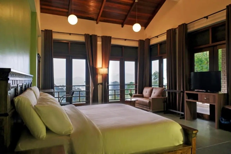 Standard Double room with view