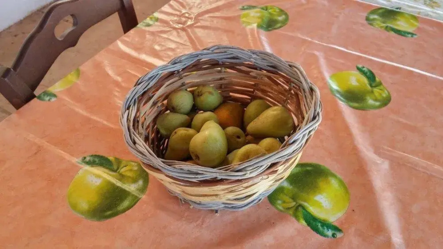 Agriturismo Conte