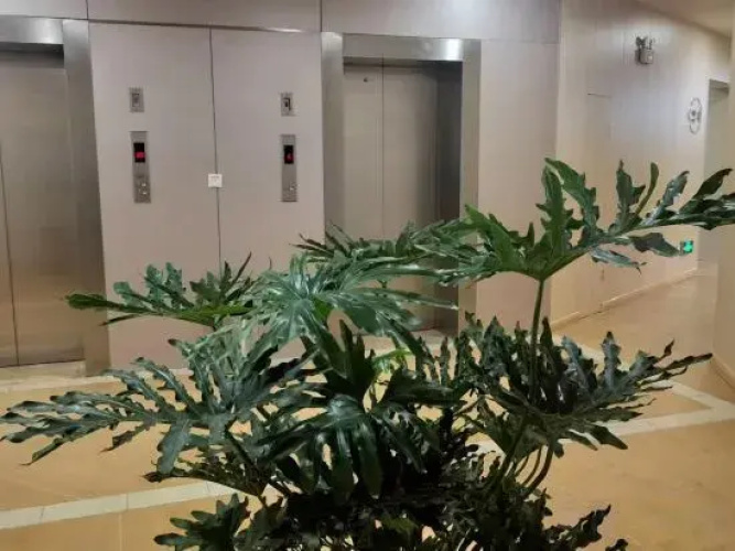 Homeinn Hotel (Pingdu Qingdao Road)