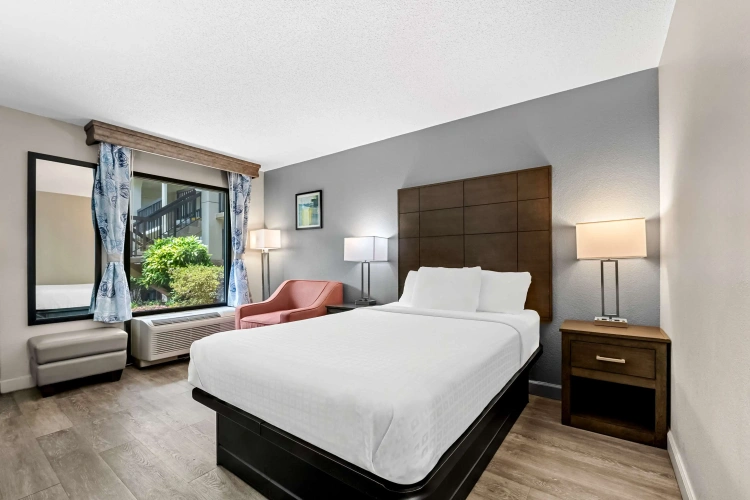 Standard Double room