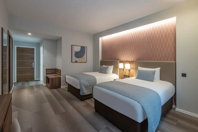 Deluxe Superior Twin room