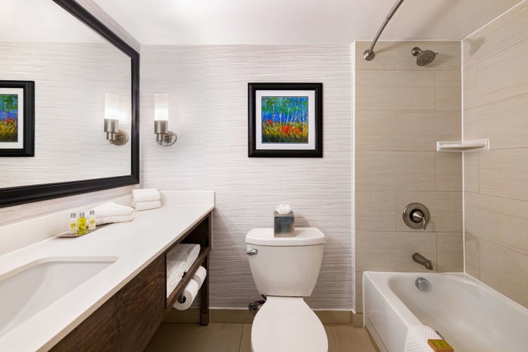 DoubleTree by Hilton Denver - Thornton photo 10