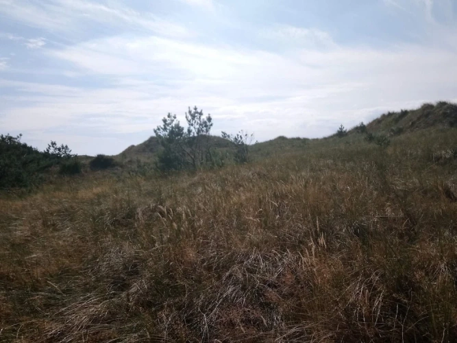 4 Person Holiday Home in Laeso