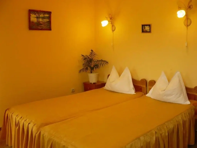 Standard Double room with balcony and with river view