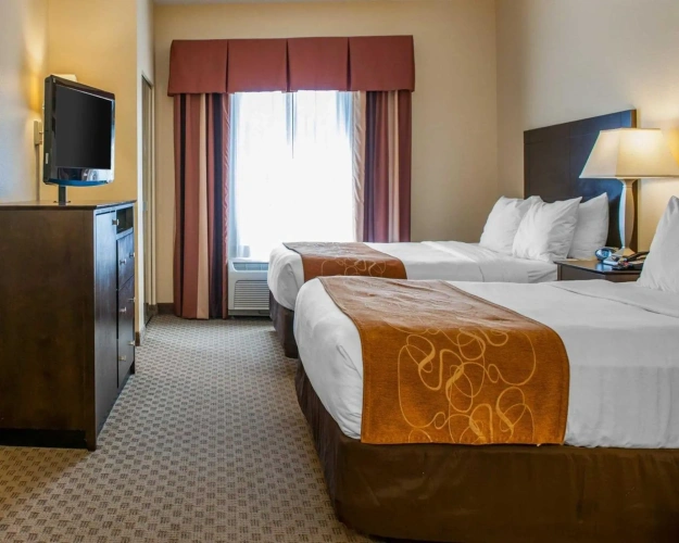 Quadruple Suite