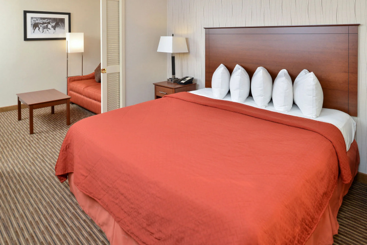 Quality Inn & Suites University Fort Collins