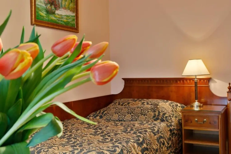 Standard Single room