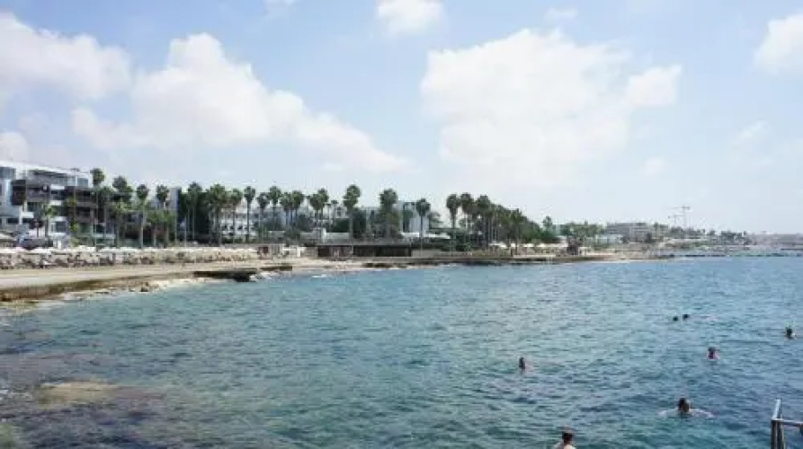 Limnaria Westpark 113