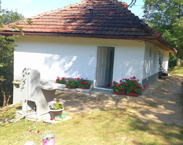 Family house