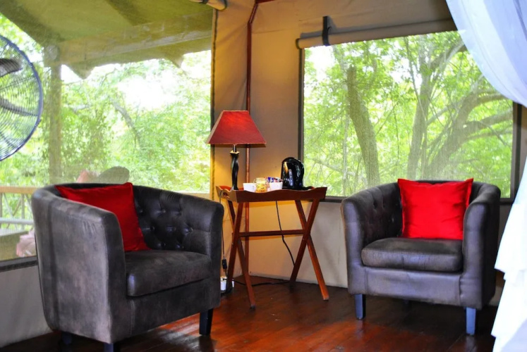 Lion Tree Top Lodge