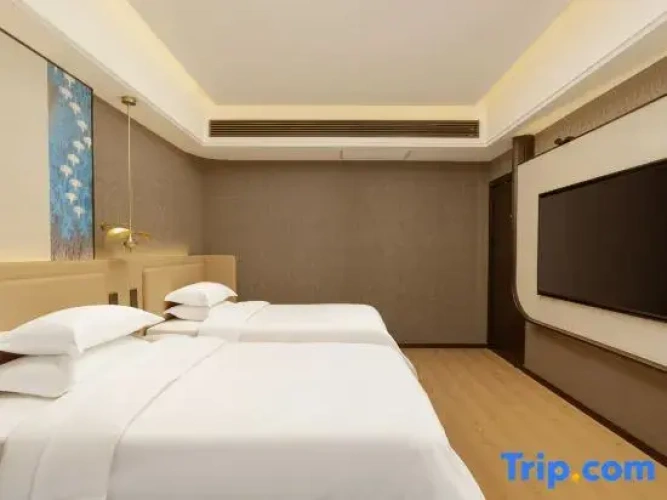 Twin Suite