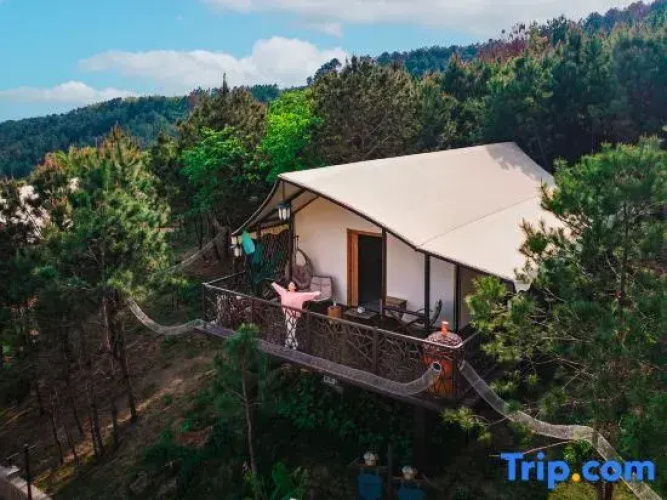 Squirrel Kingdom Forest Homestay