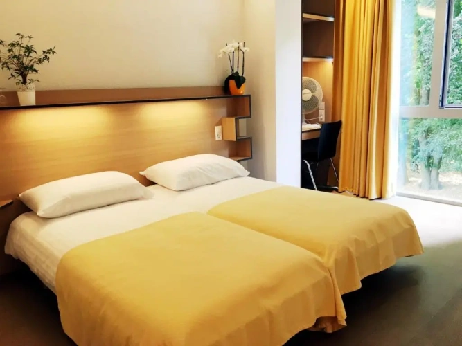 Standard Twin room with garden view