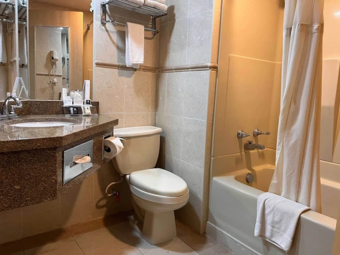 Executive Double room