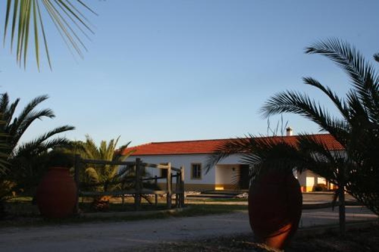 Monte Macário Alojamento Local