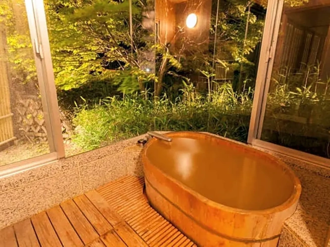 Single Suite with river view