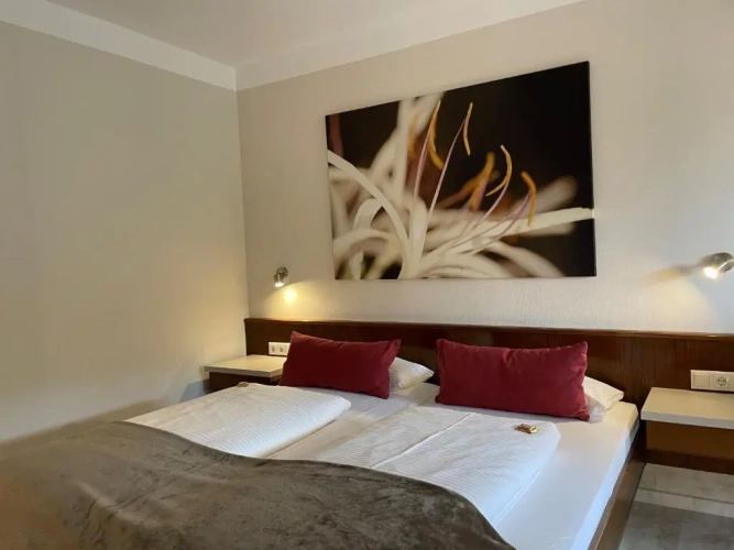 Deluxe Double room with balcony