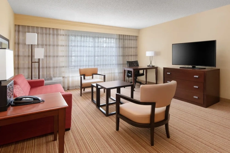 1 Bedroom Suite