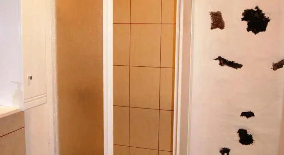 Adegadmidio