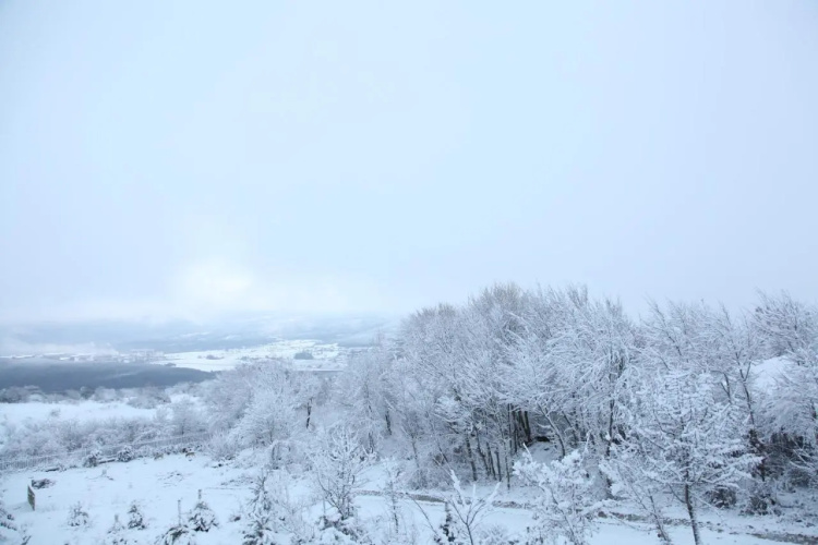 Bolu Yaban Yasam Chalets