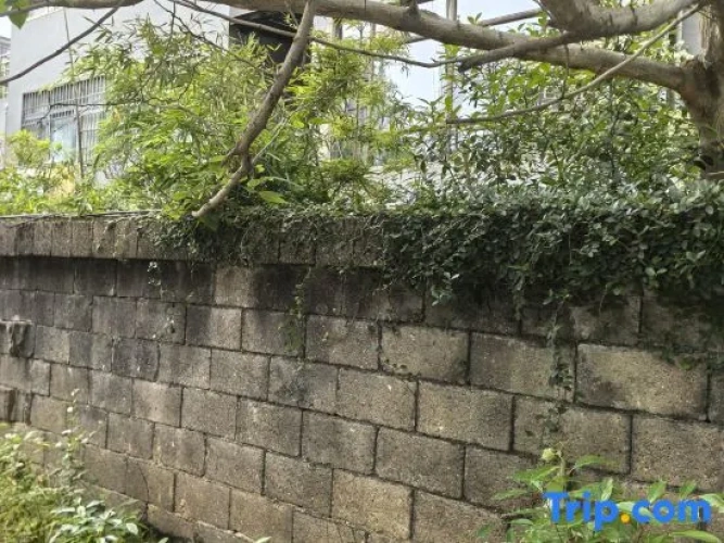 Lily Grocery Homestay (Taoxichuan Creative Plaza)