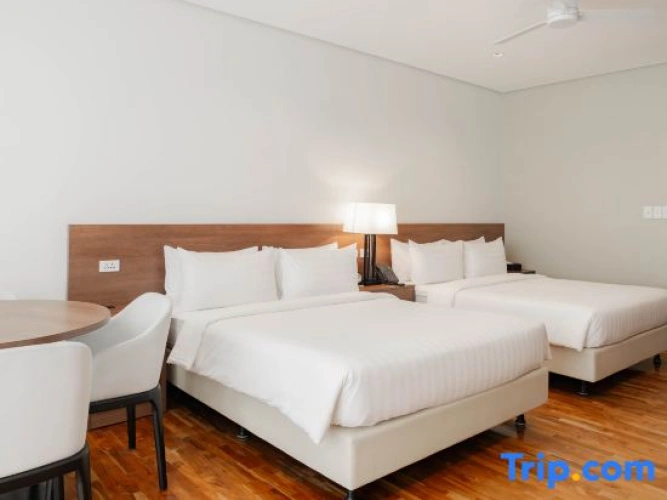 Premier Single room