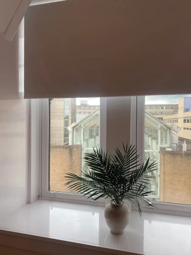 Central Paisley Apartment- Airport/glasgow Access