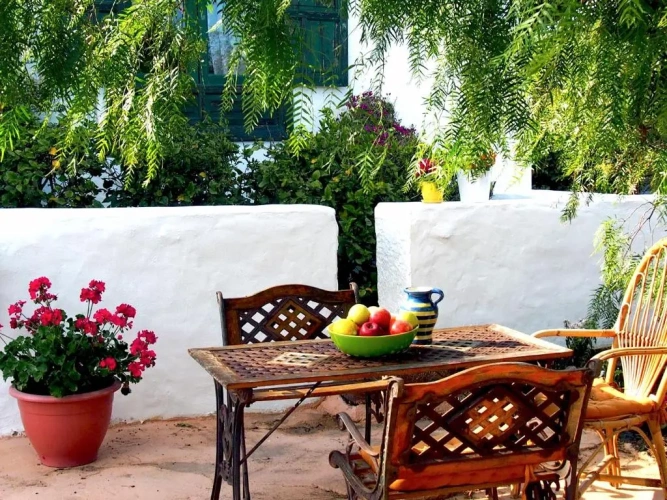 Standard Double room with garden view
