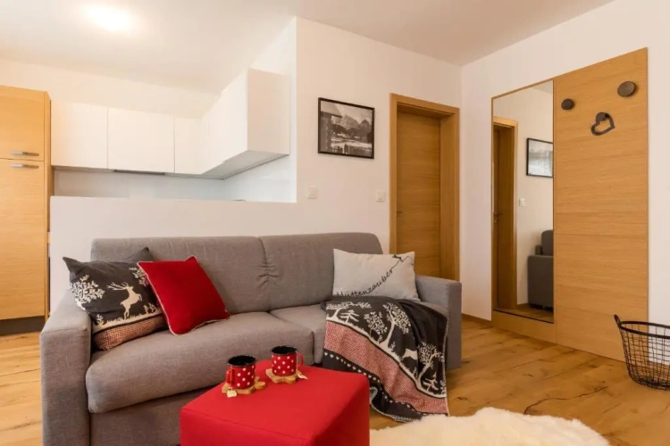 1 Bedroom Apartment with balcony and with mountain view