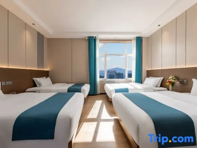 Quadruple Family Suite
