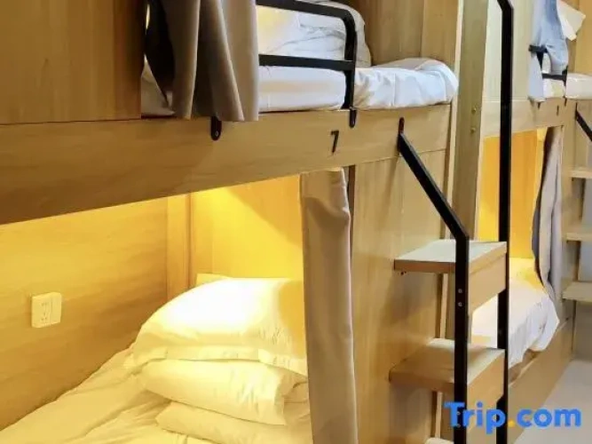 Bed in Dorm