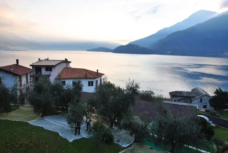 Appartamenti Il Medeghino
