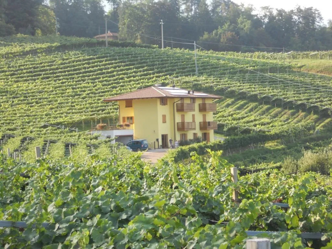 Agritur Al Vigneto