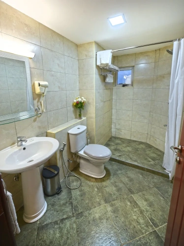 Deluxe Twin room with city view