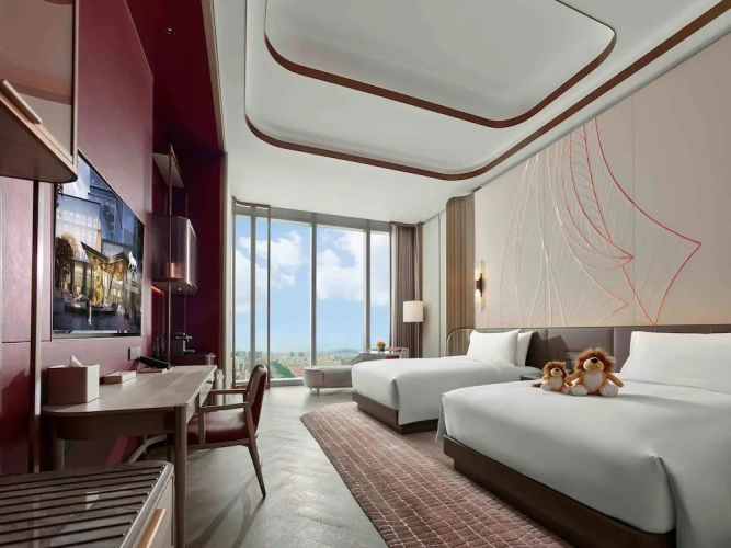 Deluxe Twin room with city view
