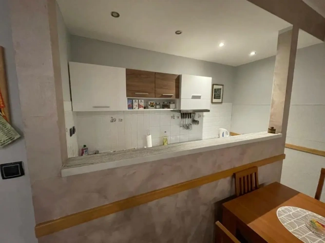 Basement Apartment
