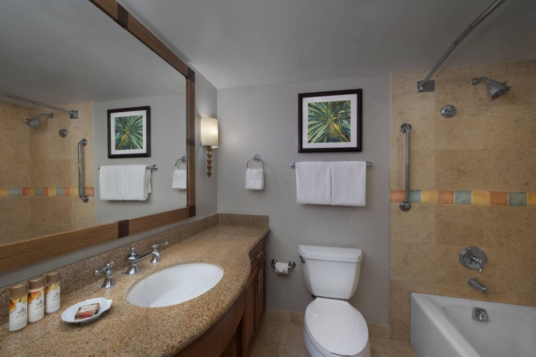 Standard Double room with balcony and with garden view