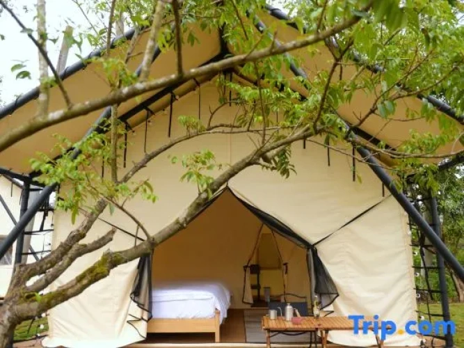 Family Tent