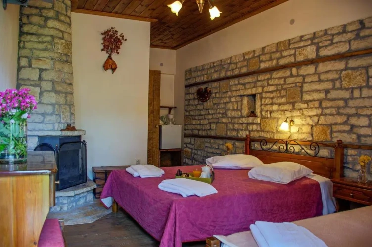 Standard Double room with mountain view