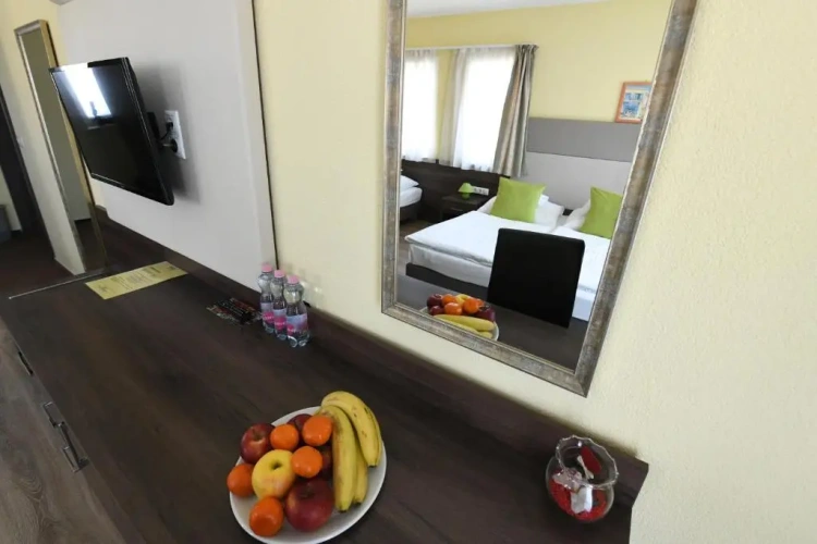 Standard Double room with balcony and with view