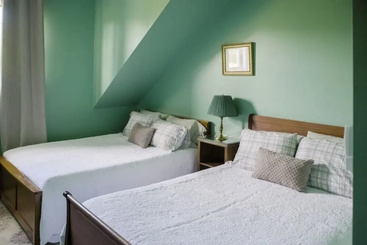 Standard Quadruple room with land view