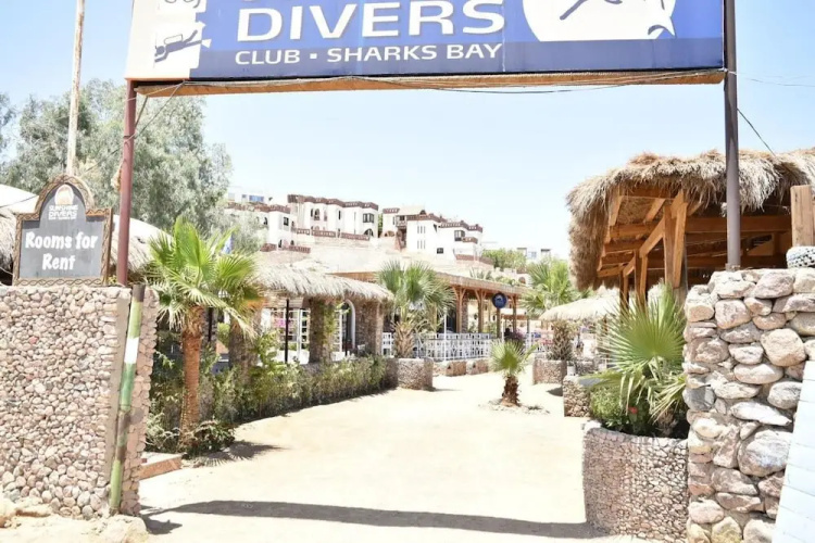 sunshine diving center
