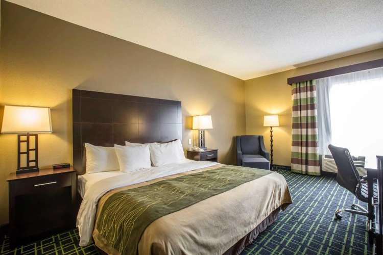 Standard Single room