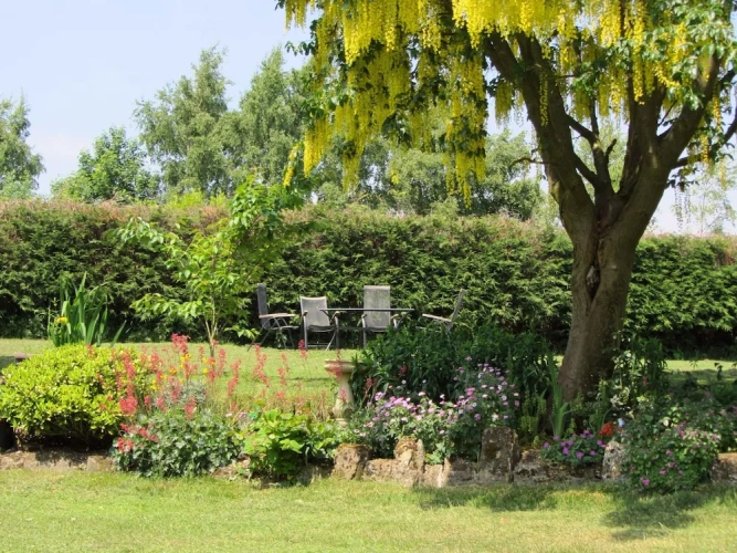 Deluxe Double room with garden view