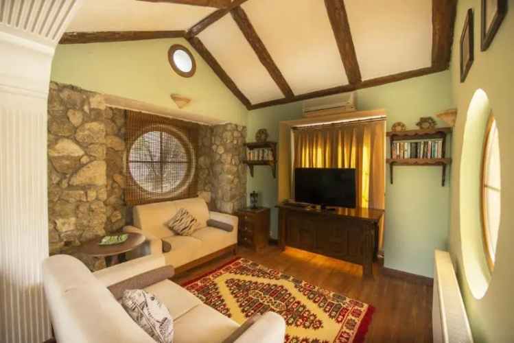 Olive Tree Studio