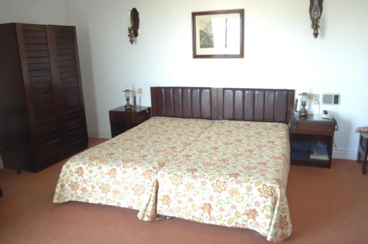 Standard Twin room with view