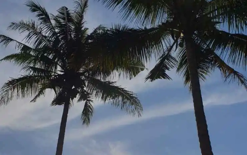 Outside