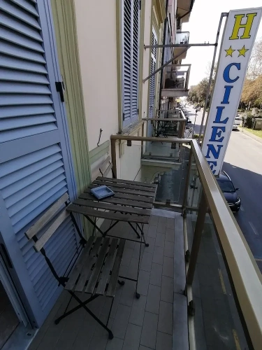 Standard Double room with balcony and with park view
