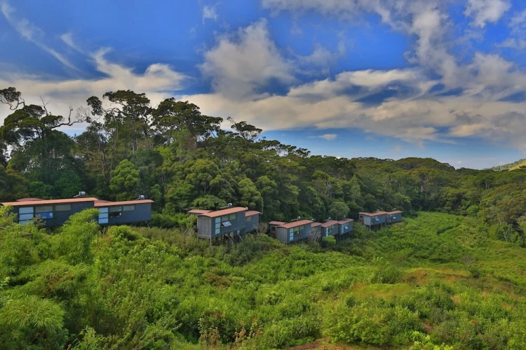 1 Bedroom Standard Chalet with mountain view
